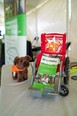 Stuffed toy guide dog and miniature wheelchair covered with red fabric advertising EVERYWHERE YOU LOOK & an AgrAbility brochure sitting in the wheelchair