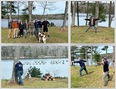 4-picture collage showing group of people standing in front of lake with a dog and individuals doing various exercises