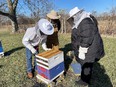 3 people in bee protection hats looking at hive outside on a clear blue-sky day