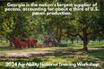 Slideof a tractor in a pecan orchard with words - GEORGIA IS THE NATIONS LARGEST SUPPLIER OF PECANS ACCOUNTING FOR ABOUT A THIRD OF U.S. PECAN PRODUCTION - 2024 AGRABILITY NTW
