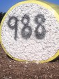 Round bale of cotton wrapped in yellow plastic with large number 988 painted on its end.