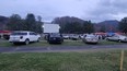 Cars parked in the grass with trees and mountains in the background on a cloudy day