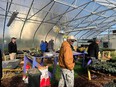 6 people looking around in a hoophouse that has various size tables with plants on them