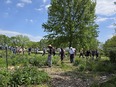 Group of people in a line walking around some farm - garden beds