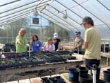 6 people looking at started plants in a greenhouse