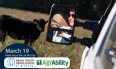 Slide advertising Brain Injury Association of MO Fact of the Day with a picture of Carey Portell in a review mirror looking at a black cow in a field.