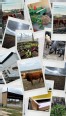 Collage of 12 pictures from South TX farm visits