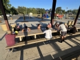 A group of people taking a survey on pic-nic tables under a shelter