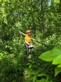 A woman in a forest with a chainsaw looking at a small fallen tree.