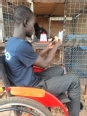 A Ugandan boy in a wheelchair holding a chick next to some chickens in a coop