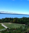 Aerial view of a farm near Traverse City MI with a lake in the background.