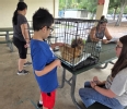 Two women at a pic-nic table with a youth touching a chicken in a cage on the table