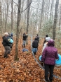 A group of people looking at hoses running between trees in a sugar bush