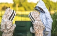 A group of 3 people in protective gear looking at bee hives.