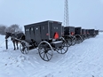 A row of Amish buggies parked in the snow.